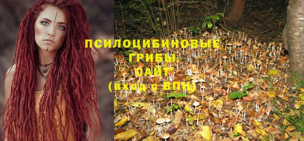 ГАЛЛЮЦИНОГЕННЫЕ ГРИБЫ Алексеевка