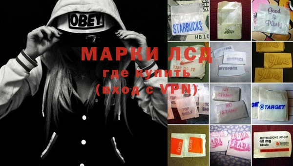 ГАЛЛЮЦИНОГЕННЫЕ ГРИБЫ Алексеевка