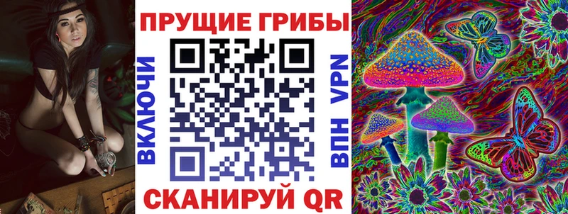 Псилоцибиновые грибы GOLDEN TEACHER  купить наркотик  Приволжский 